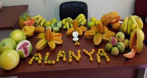 4th Alanya Tropical Fruit Festival