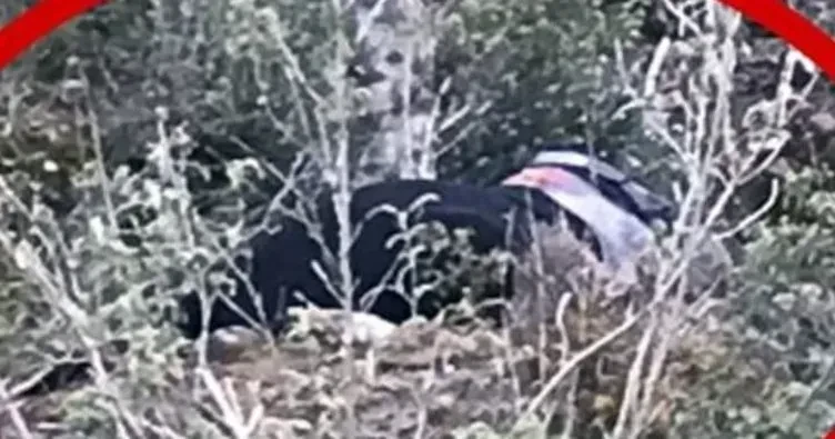Shocking incident in Manavgat: A body without a head and arms was found