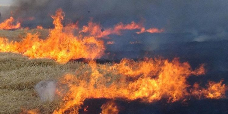 Critical warning in Alanya: Doing this increases the risk by 5 times