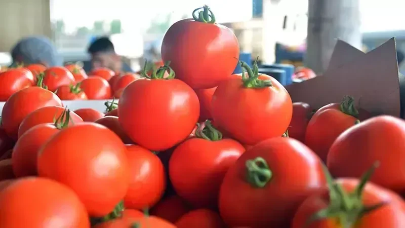 Alanya’da "Zehirli ürün" iddiası