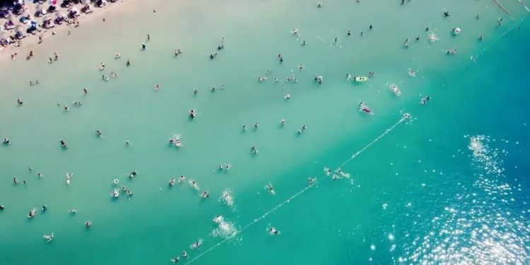 Antalya, Mersin, Adana, Hatay. Don't let your holiday turn into a nightmare while swimming in the sea