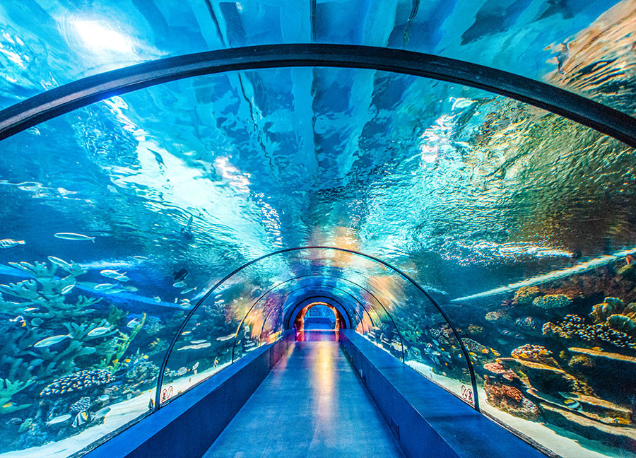 Antalya Aquarium