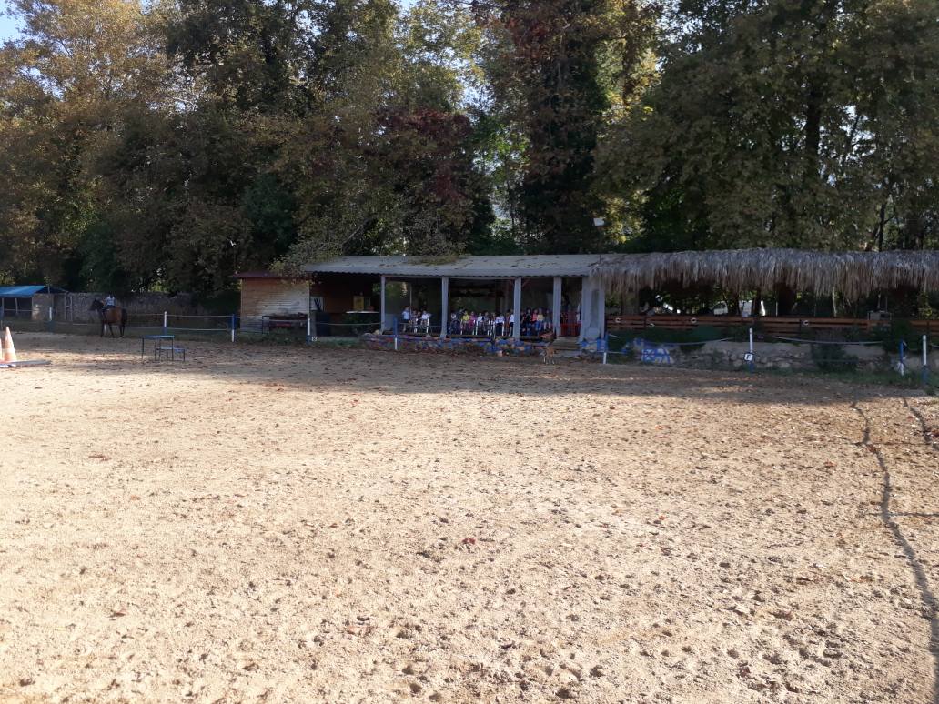 Horse Village