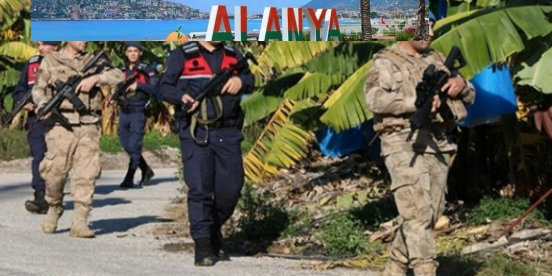 Alanya Jandarması Avakado hırsızlarının peşinde!