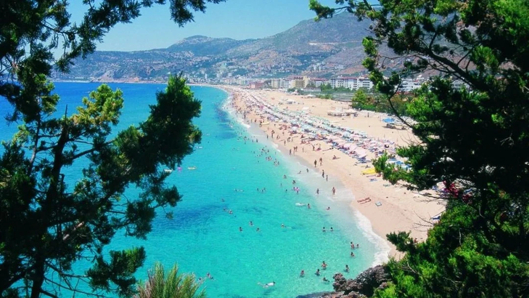 Alanya'da plaj mafyası! Zorla şemsiye kiralattılar