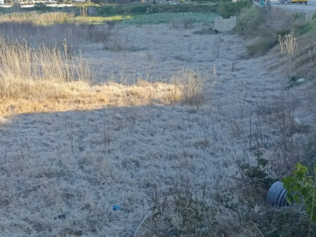 They took a picture of the cold weather in Alanya! Frost was observed just meters away from the beach