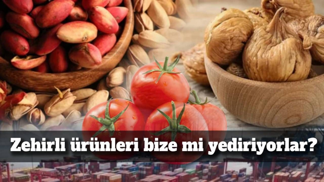 Products exported from Turkey are being sent back: Are they feeding it to us?