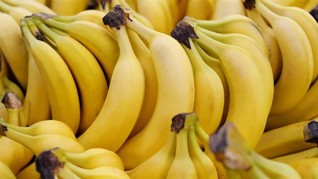 Bananas are in high demand in Alanya
