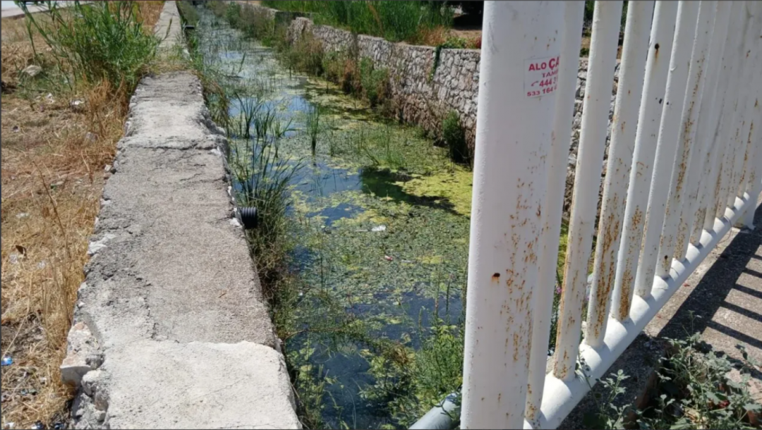 Antalya's famous district has surrendered to mosquitoes! Everyone has plugged their ears