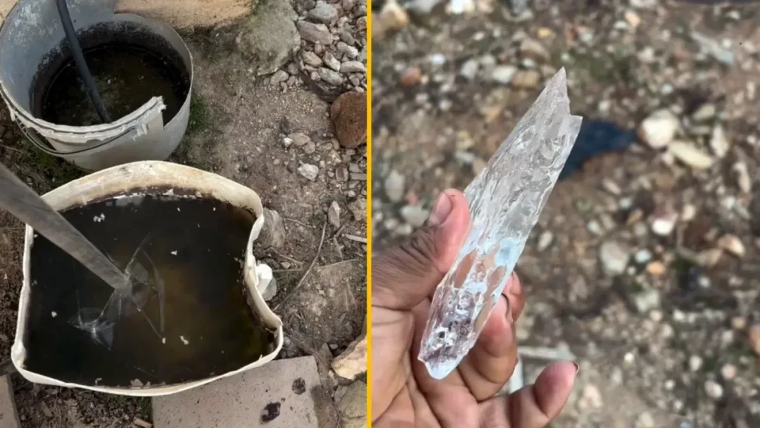 Antalya, Alanya ve Gazipaşa'da seraları don vurdu: Sebze fiyatları fırlayacak