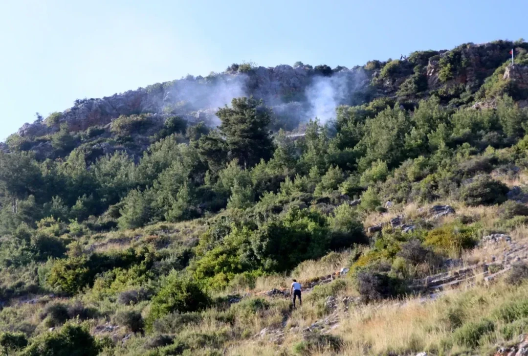 В Алании едва удалось предотвратить лесной пожар