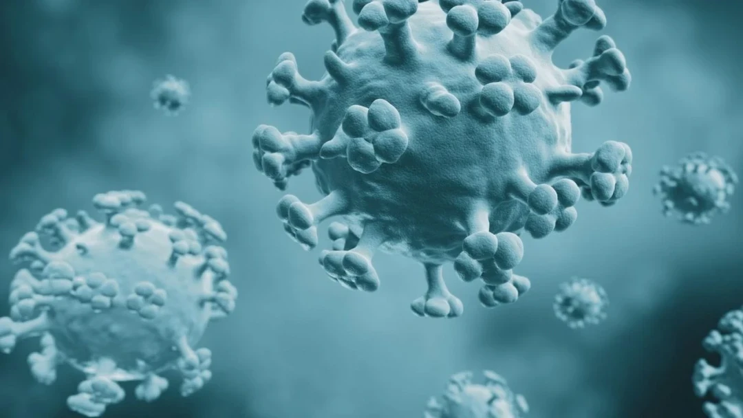 The flu epidemic is rapidly increasing in Alanya