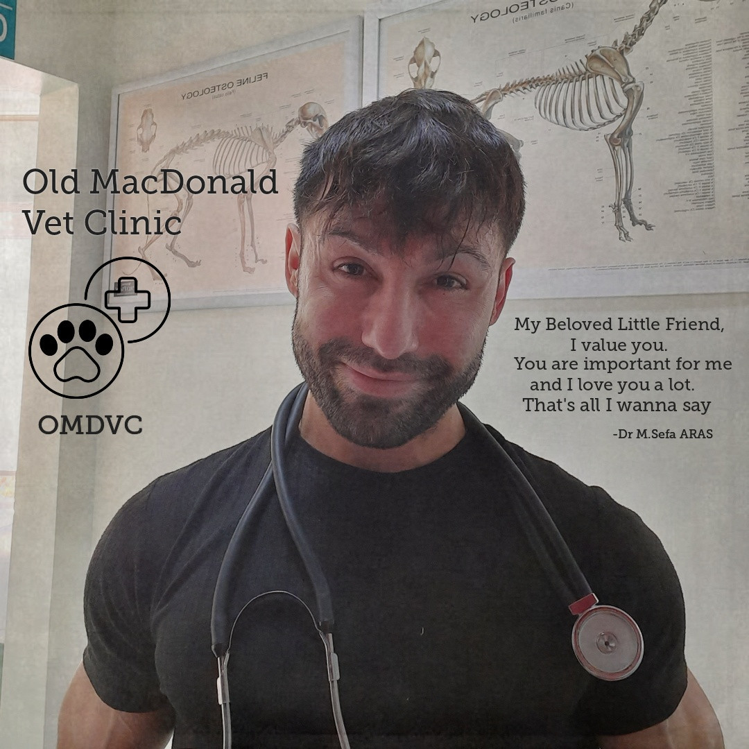 Old MacDonald Vet Clinic
