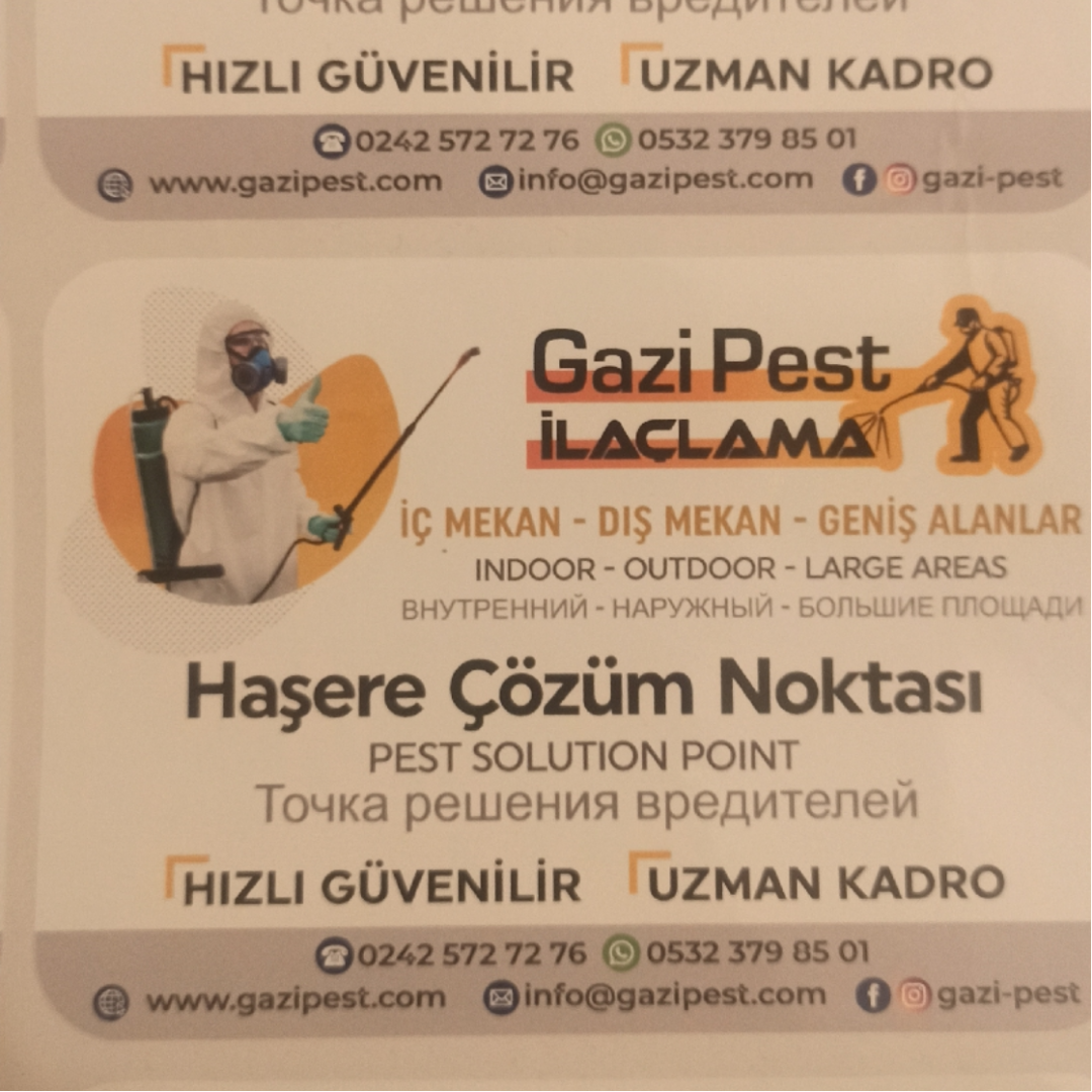 Gazipest