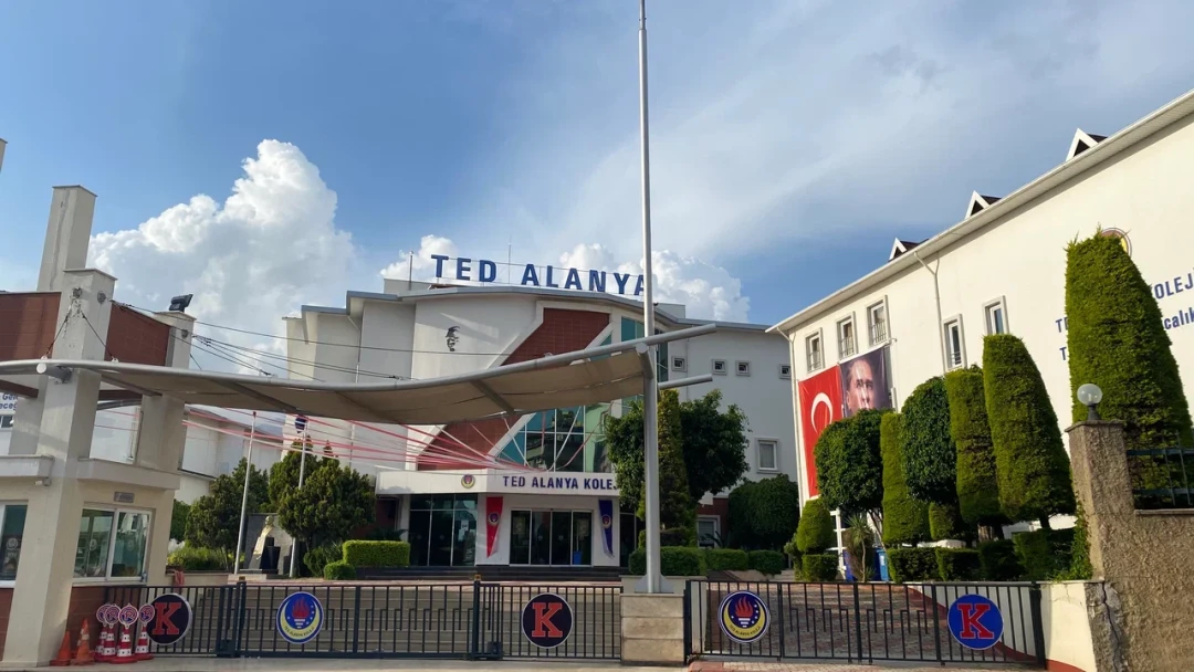 Ted Alanya