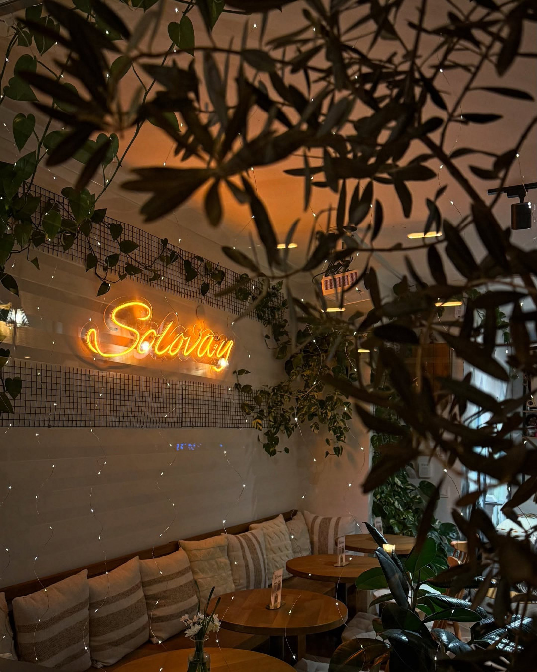 Solovay Bakery Alanya